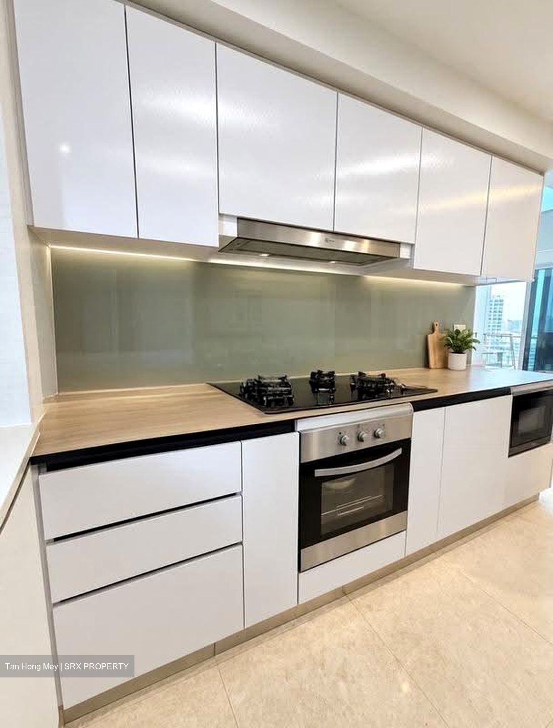 Eight Riversuites (D12), Condominium #618611221
